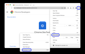Browser Developer Tools and Extensions